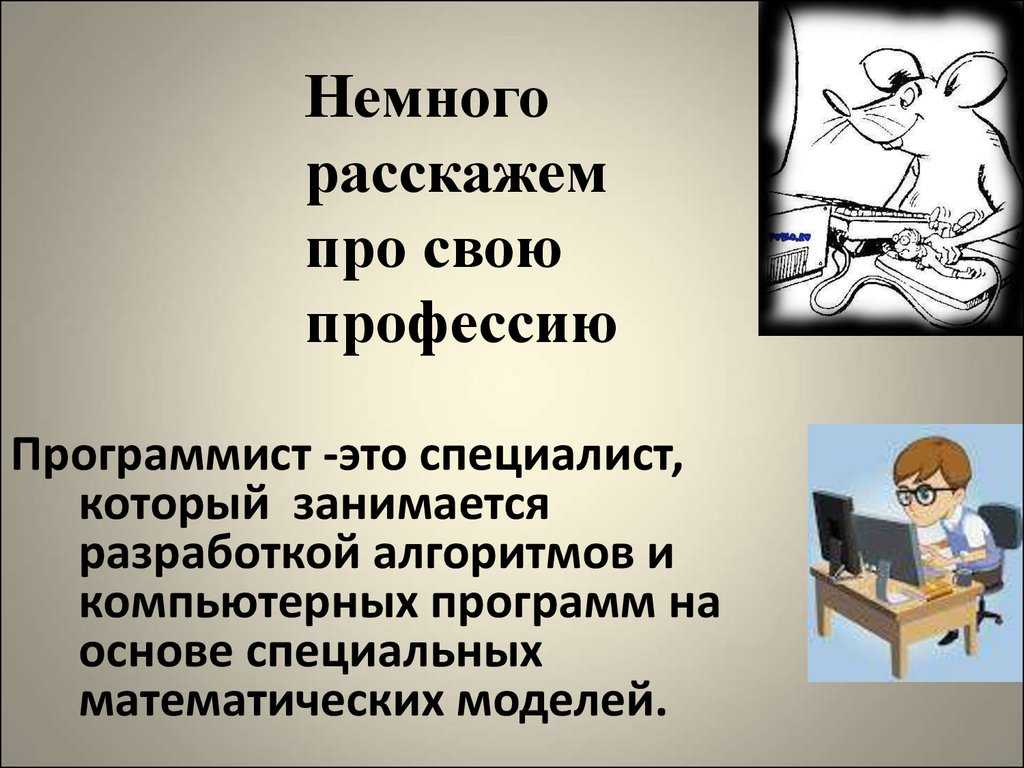 Какие параметры и ограничения можно выделить в вашем проекте программист