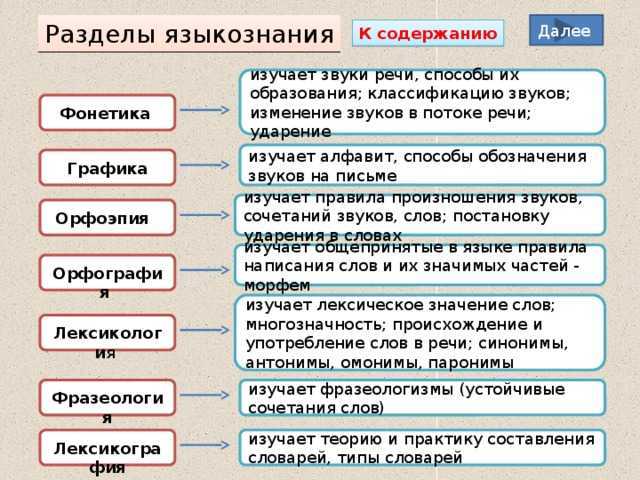 Сложный план на тему разделы науки о языке 6 класс кратко