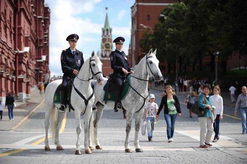 Конная полиция. Конная полиция России. Конная полиция в Москве. Конная полиция МВД. Московская Конная полиция.