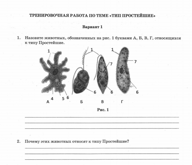 Контрольная работа 1 биология 7. Контрольная работа по биологии 7 класс по теме простейшие. ВПР по биологии 7 задания. Задания ВПР 7 класс биология. Тест простейшие 7 класс биология.