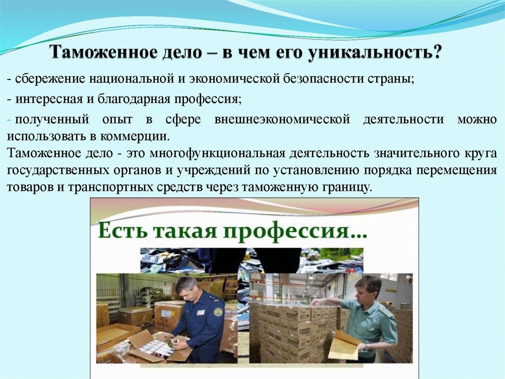 Таможенное дело статья. Таможенное дело профессия. Таможенник профессия. Таможенный работник. Таможня специальности.