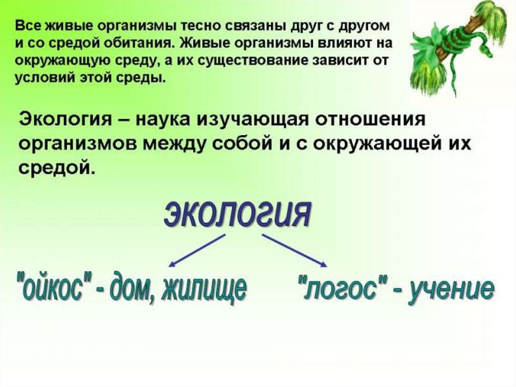 Биология презентация урока. Биология 5 класс тема биология наука о живой природе. Биология 5 класс биология наука о живой природе. Биология презентация. Биология наука презентация.