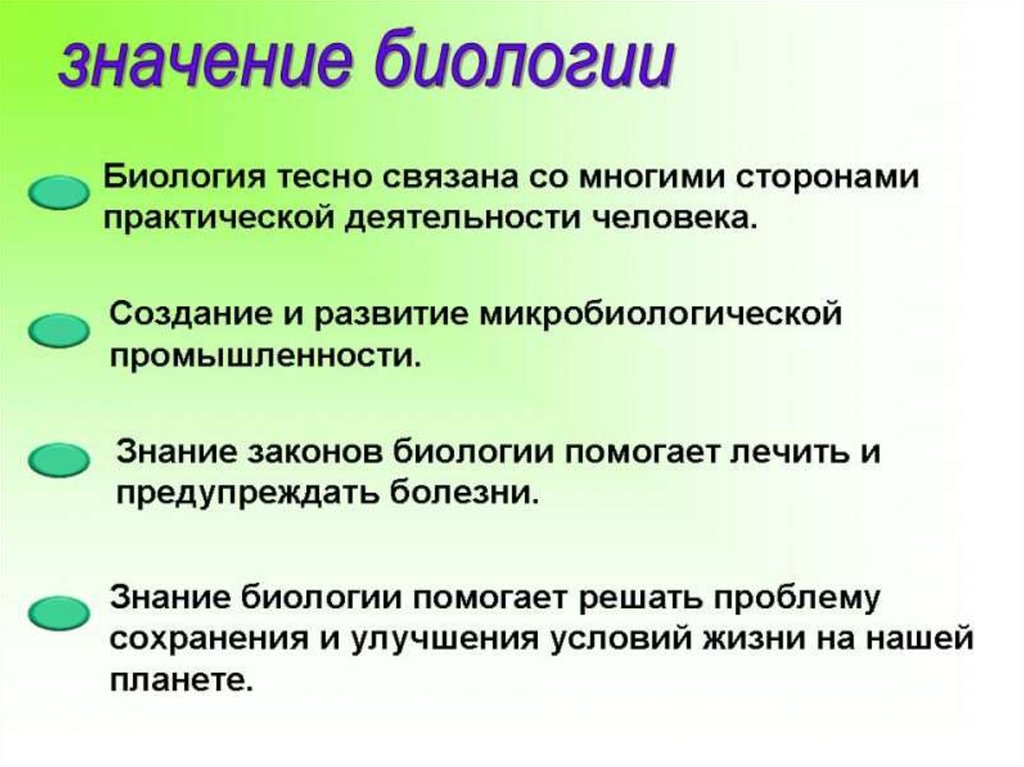 Биология в руках детектива проект 5 класс