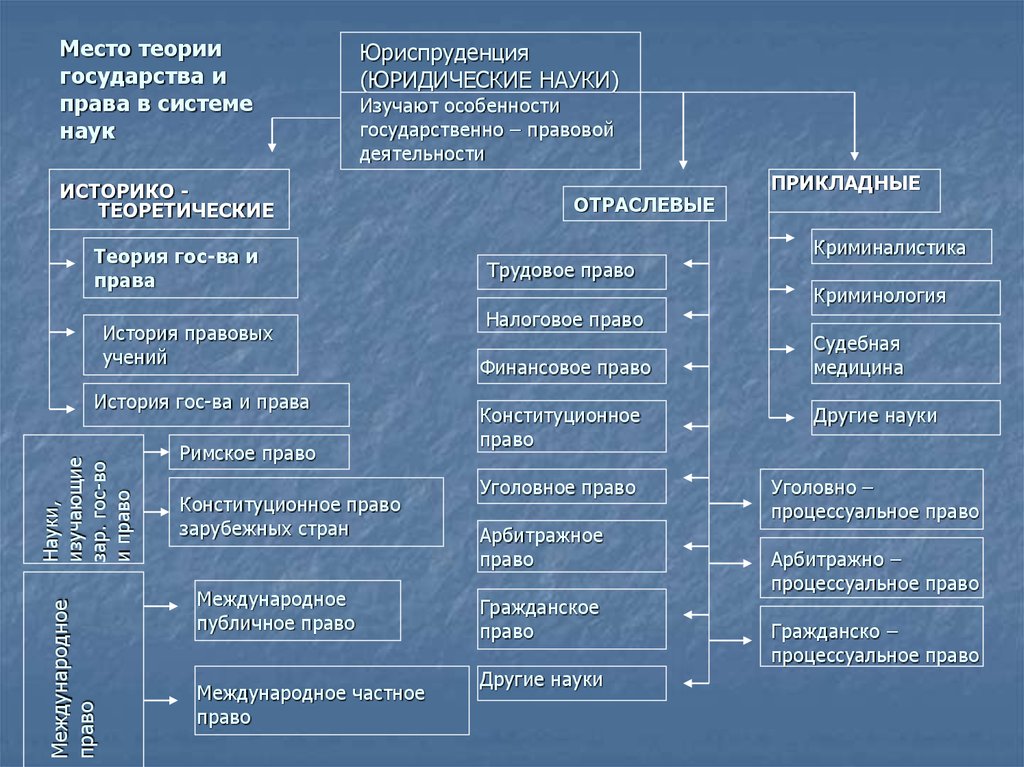 Кто проводит экспертизу проектов в области гуманитарных и общественных наук