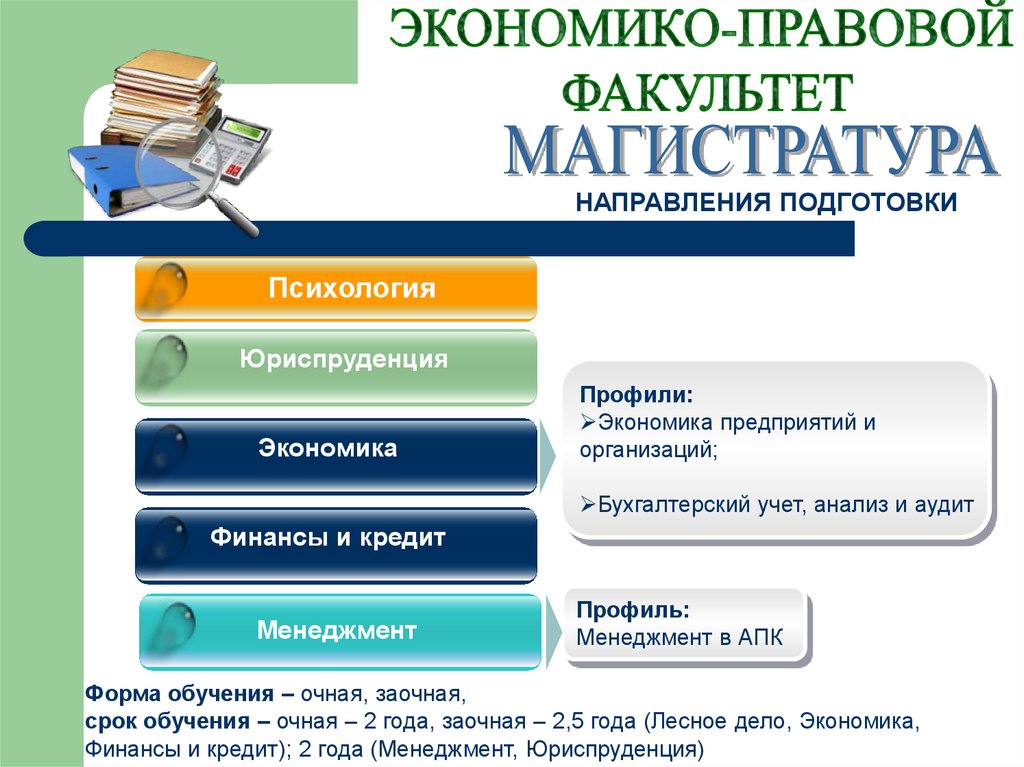 Направления юриспруденции. Магистратура бухгалтерский учет анализ и аудит. Бухгалтерский учет анализ и аудит магистратура заочно. Магистратура экономика. Магистратура Бухгалтерия.