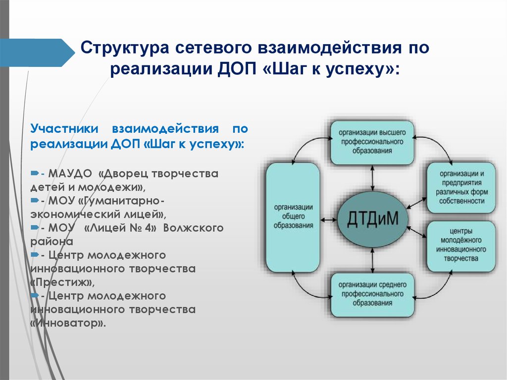 Положение о сетевом проекте