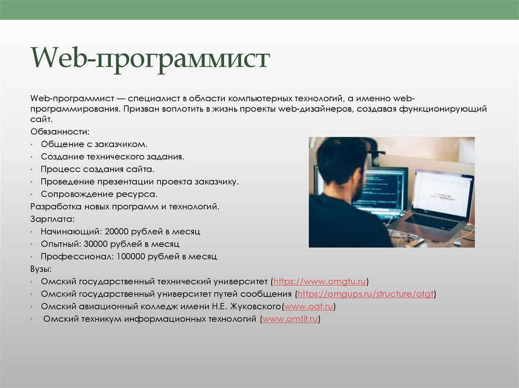 Какие параметры и ограничения можно выделить в вашем проекте программист