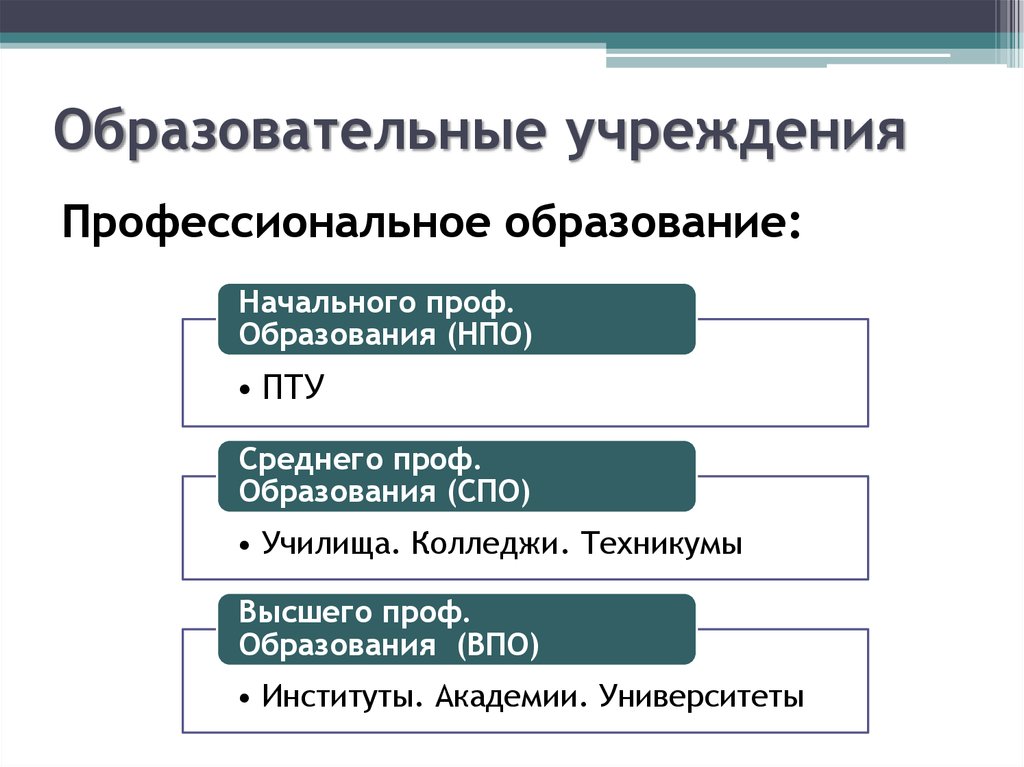 Среднее специальное образование презентация