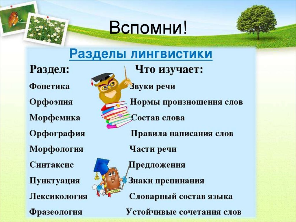 Какие самые главные уроки. Раздзделы лингвистики. Разделы лингвистики в русском языке. Разделы лингвистики таблица. Разделя языкознания таб.