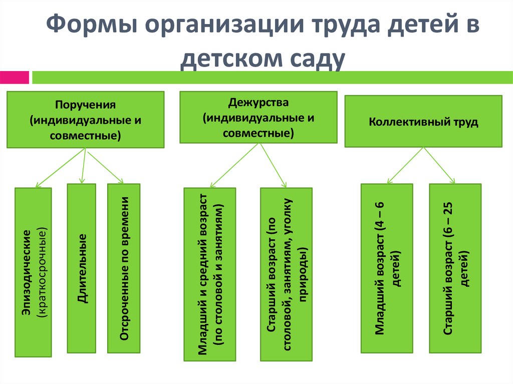 Формы организации проекта в доу