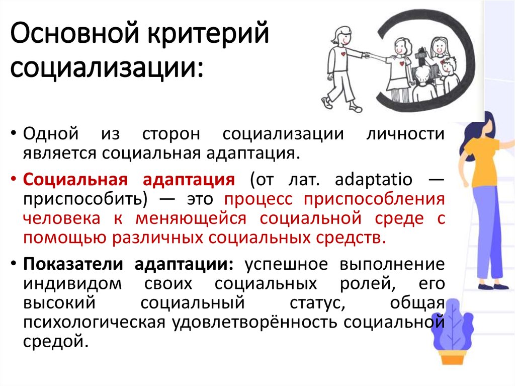 Социальный статус социальная роль социализация индивида