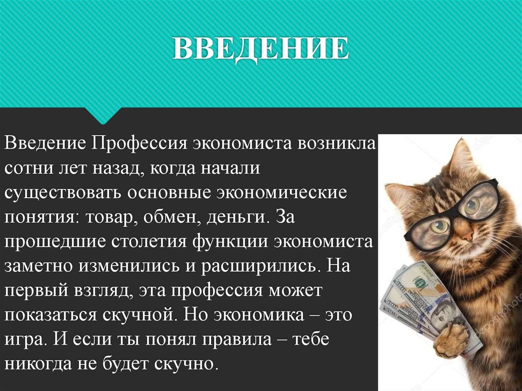 Экономист понятие. Экономист для презентации. Профессия экономист презентация. Моя будущая профессия экономист презентация. Экономист профессия описание.