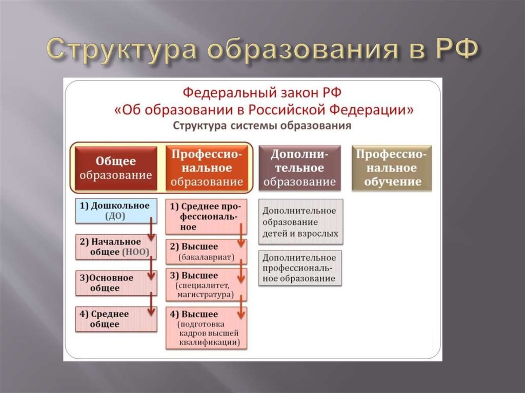 Составьте схему используя приведенные понятия образование принципы образования в рф образовательные