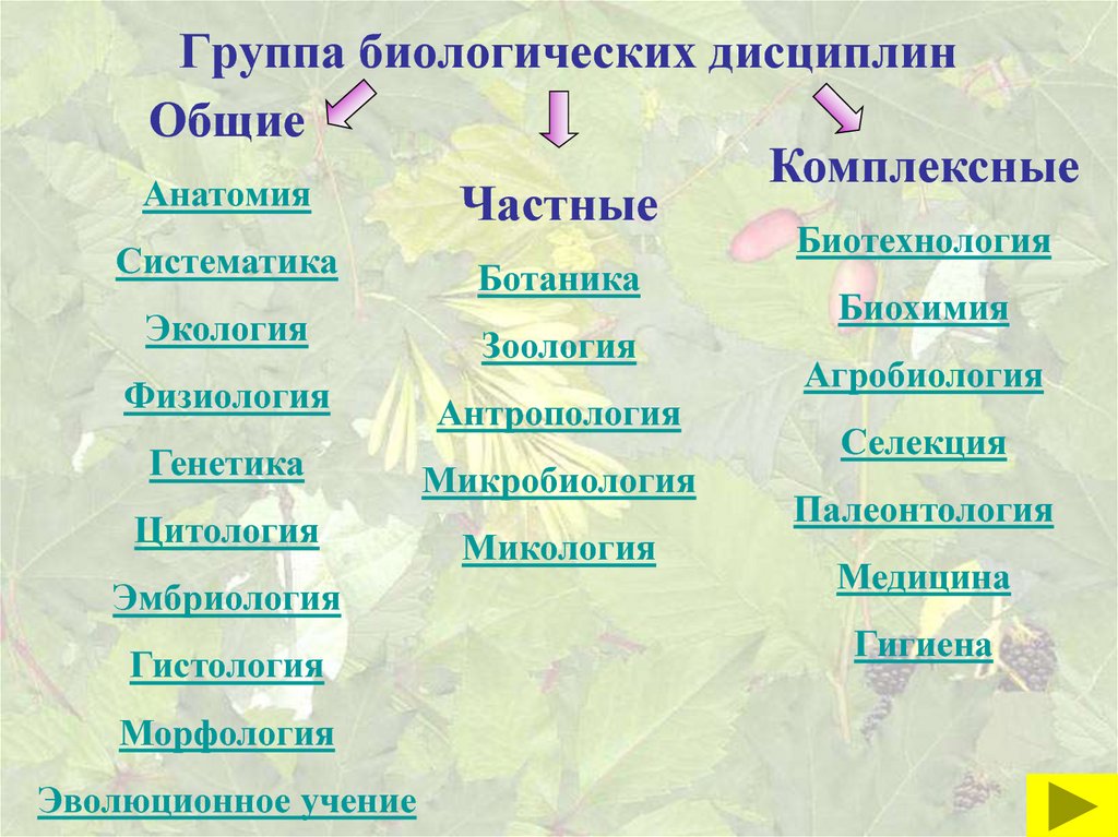 Систематика биологических наук. Все биологические дисциплины. Науки биологии.