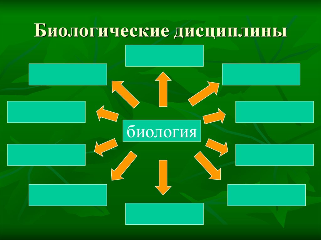 Картинки разделы биологии