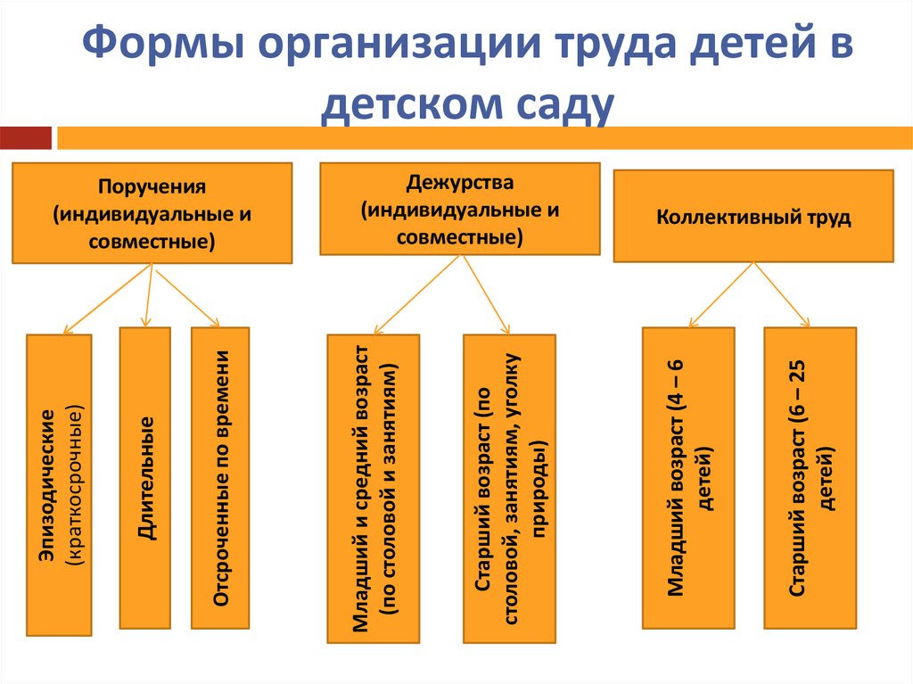 Формы организации проекта в доу