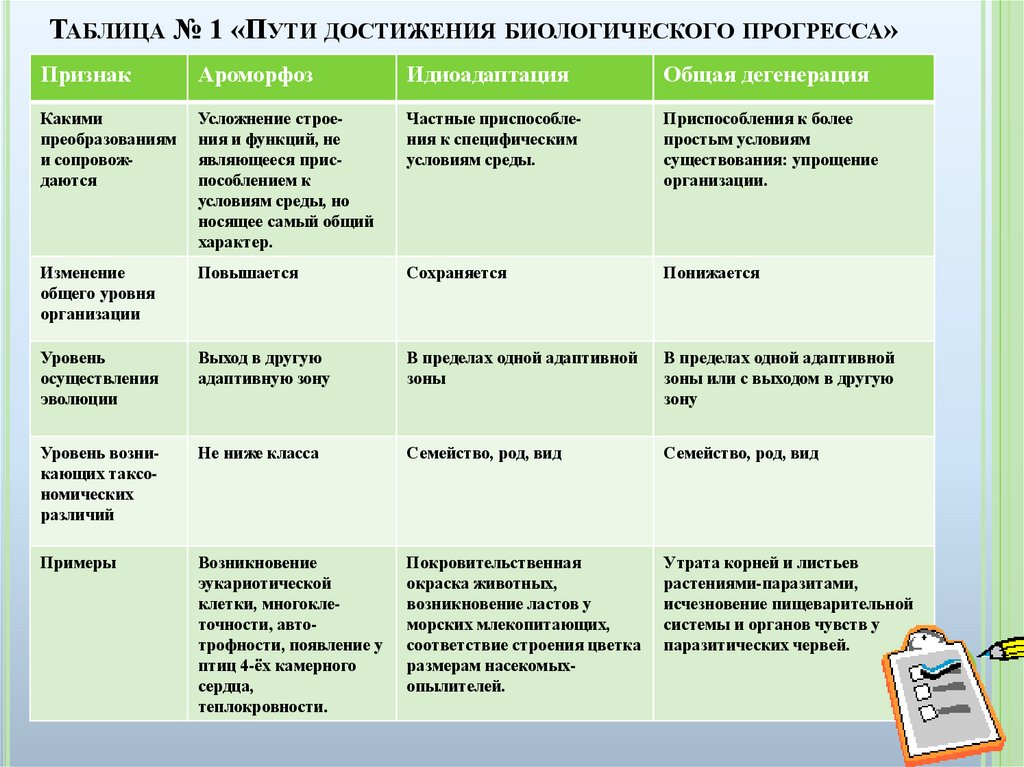 Индивидуальный проект по биологии 11 класс готовые проекты