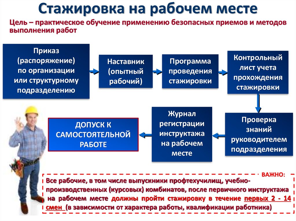 Работы в фирме примеры. Стажировка на рабочем месте. Порядок проведения стажировки. Стажировка на рабочем месте по охране труда. Об организации и проведении стажировки на рабочем месте.