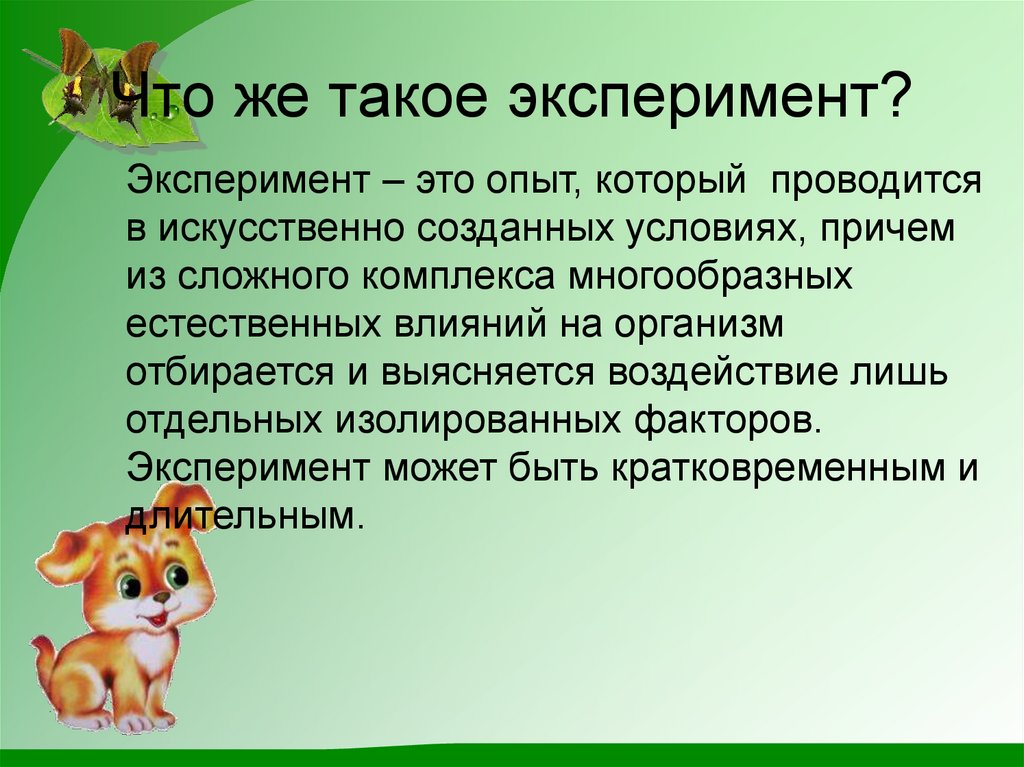 Что такое эксперимент в проекте