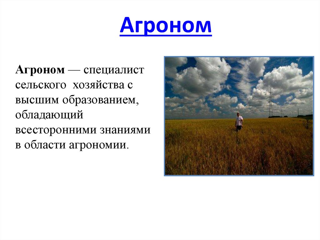 Кто такой агроном. Агроном признаки. Предложение со словом агроном. Агроном сущ признаки. Составить предложение со словом агроном.