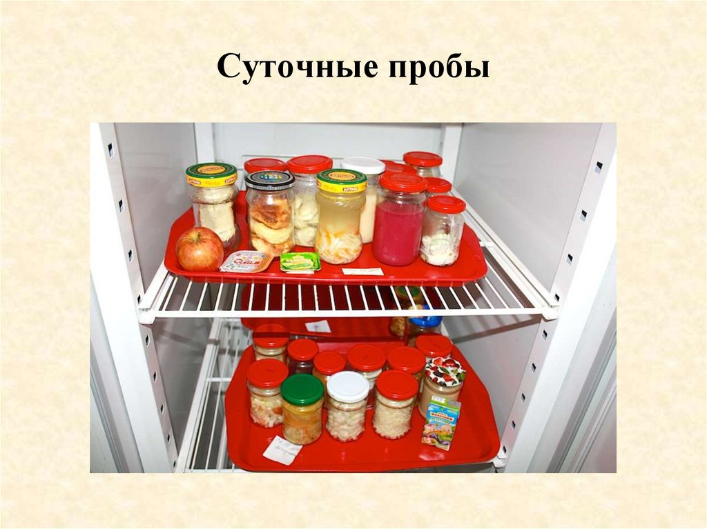 Что должно быть в каждой. Отбор суточных проб на пищеблоке САНПИН. Суточные пробы. Холодильник для суточных проб на пищеблоке. Хранение суточных проб на пищеблоке.