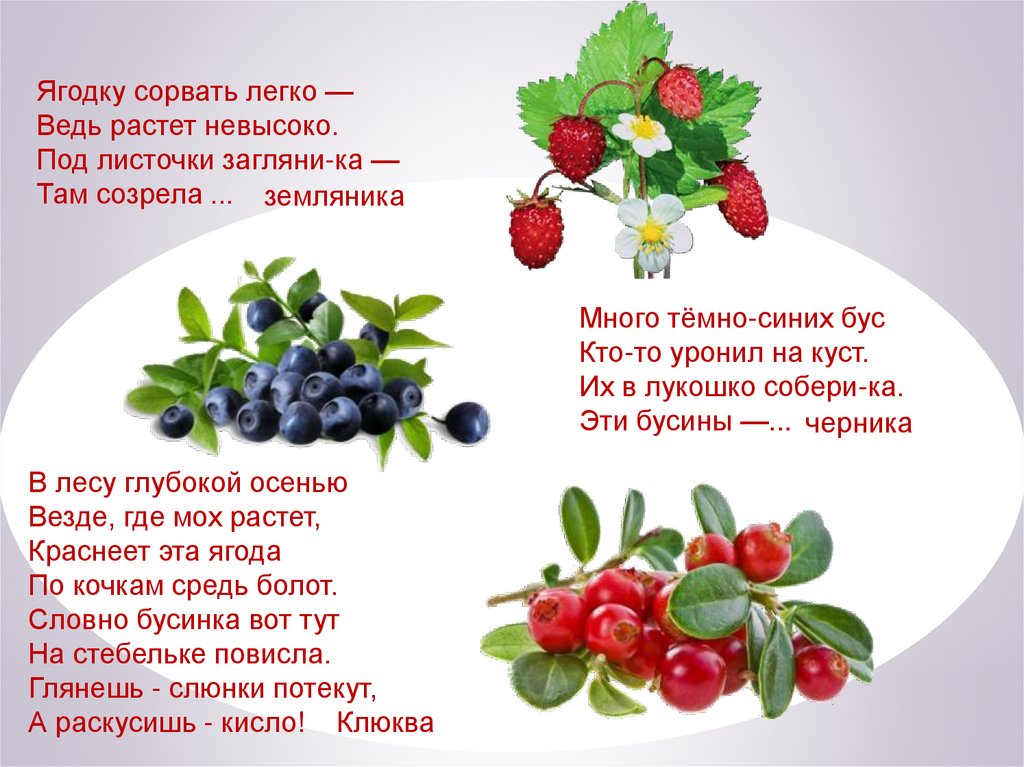 Ягодка предложение. Презентация на тему ягоды. Лесные и садовые ягоды. Лесные ягоды для детей. Ягоды для презентации.