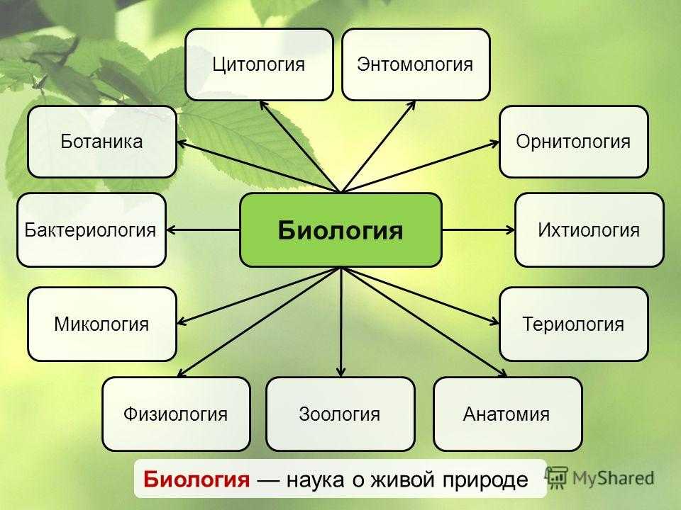 Какие профессии связаны с биологией