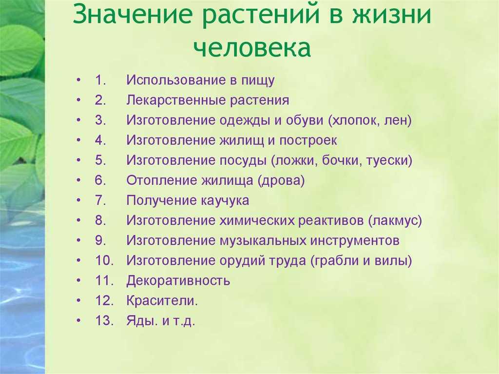 Что должно быть в проекте по биологии