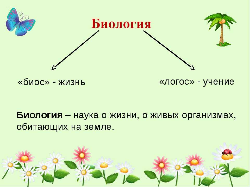 Биология презентация что такое биология