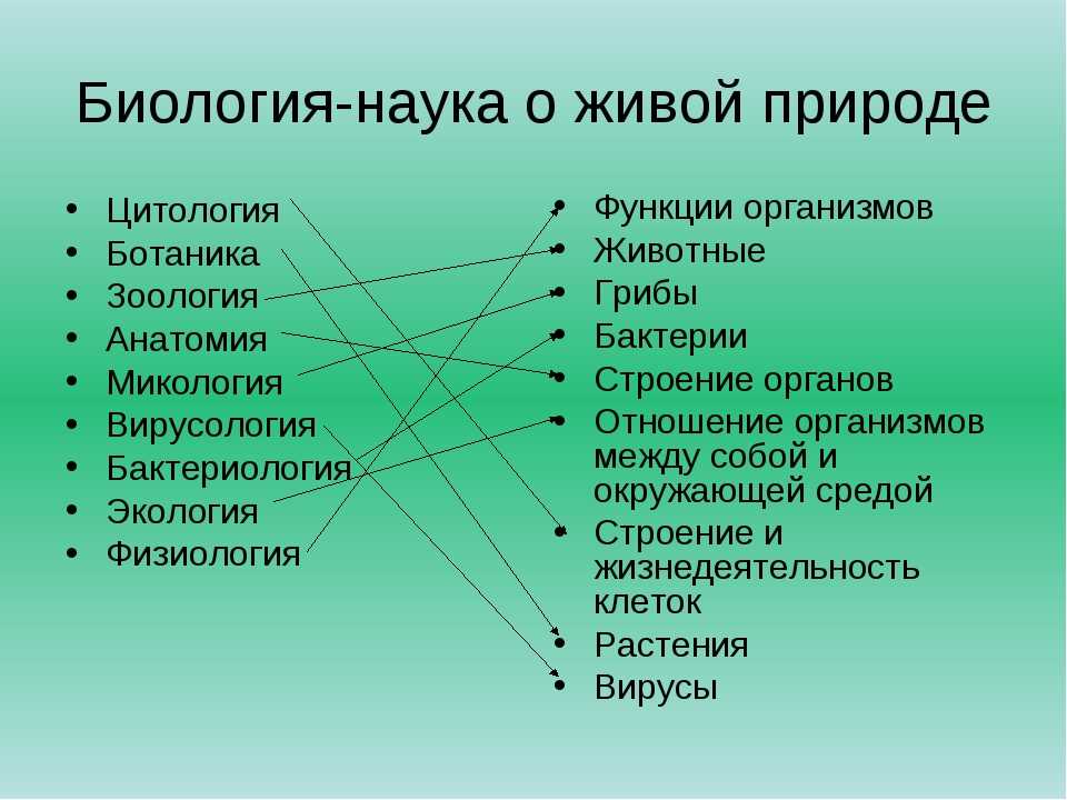 Какие темы можно взять для проекта 9 класс по биологии