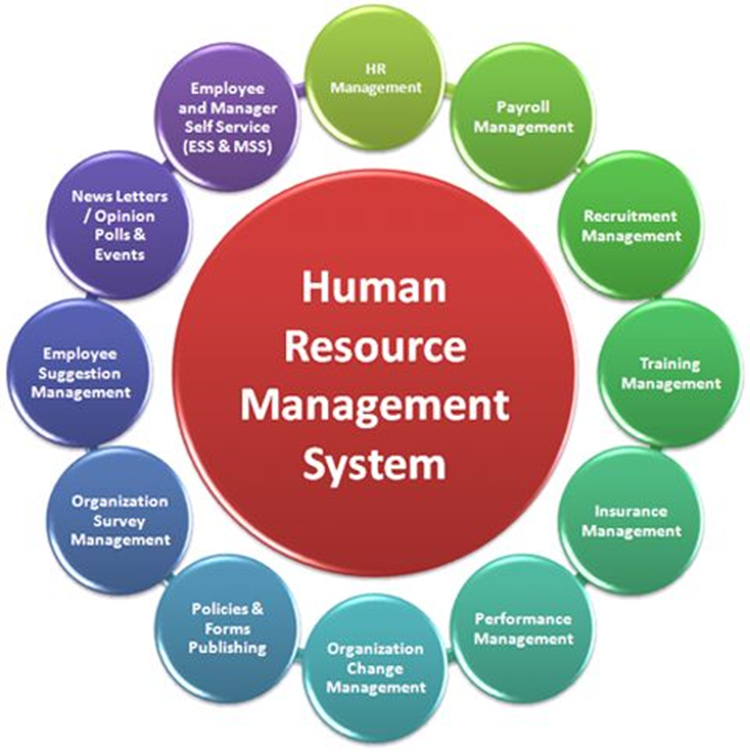 Human manager. HRM системы. Управление персоналом (HR-менеджмент. HR управление персоналом. HRM система управления.