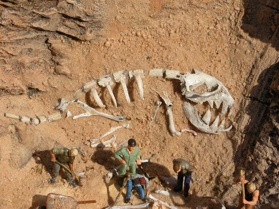 Скелеты сахары. Dinosaur Bone Fossil раскопки динозавров. Раскопки палеонтологов динозавров. Пустыня Гоби кости динозавров. Пустыня Гоби раскопки динозавров.