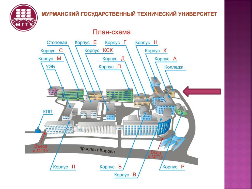 Мгту мурманск фото