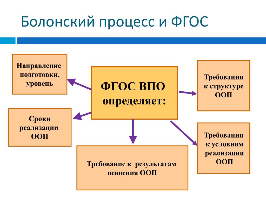 Болонская система картинки