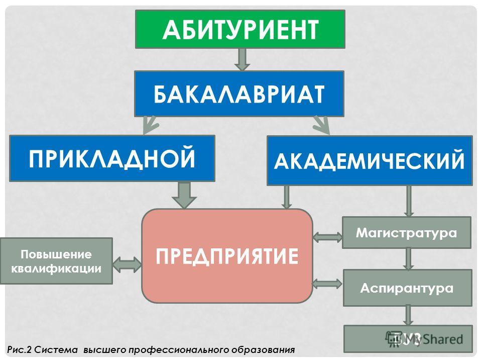 Магистратура аспирантура по порядку. Бакалавриат магистратура система. Схема бакалавриат магистратура. Аспирантура магистратура бакалавриат разница. Бакалавриат магистратура аспирантура докторантура.