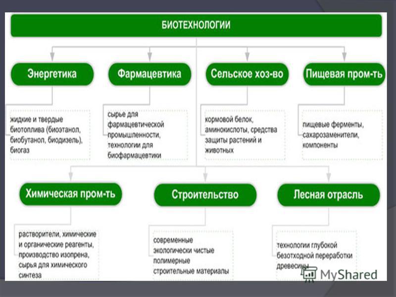 Биотехнология что это за профессия кем работать. Биотехнология и Энергетика. Может ли современное человечество обойтись без биотехнологии. Биотехнология в энергетике. Виды биотехнологии.