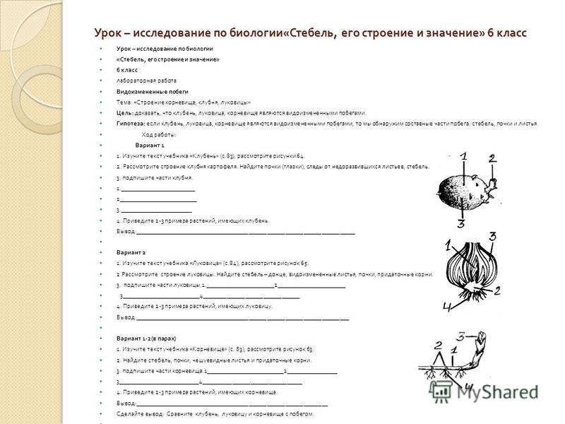 Темы работ по биологии. Исследования по биологии 6 класс. Задания по биологии 6 класс. Урок исследование по биологии. Проверочные работы по биологии по теме анатомия.