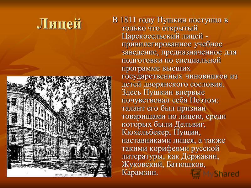 Какое образование получил пушкин. Царскосельский лицей Пушкин. В 1811 году Пушкин поступил в Царскосельский. Царскосельский лицей Пушкин учеба в лицее. Царскосельский лицей Пушкин в лицее.