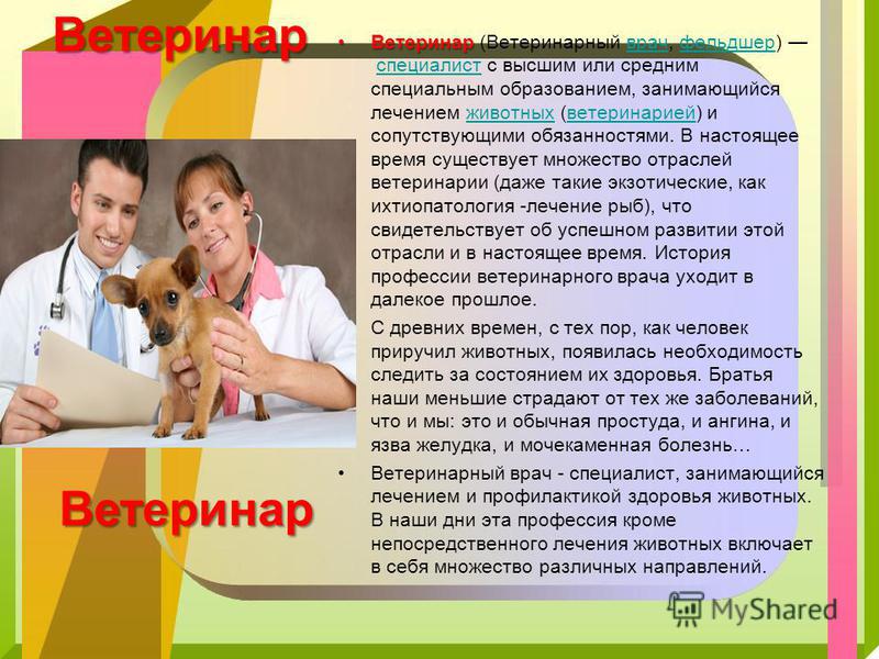 Презентация о ветеринаре