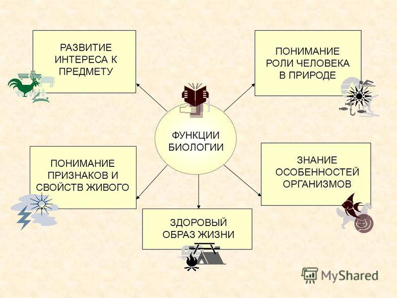 Профессии связанные с биологией 5 класс биология