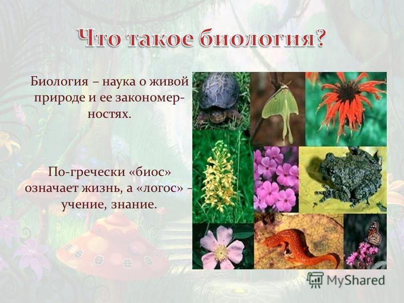 Что такое биология кратко. Тема для презентации биология. Наука о живой природе 5 класс. Живая природа биология. Презентация на тему биологические науки.