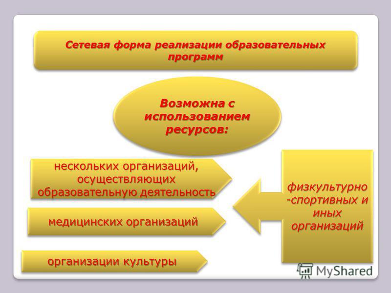 Организационная форма реализации образовательной программы