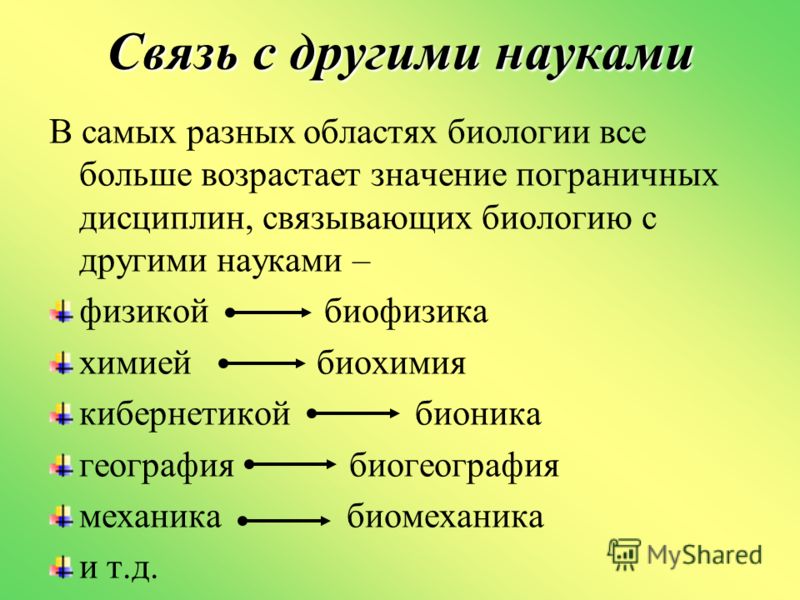 Картинки разделы биологии