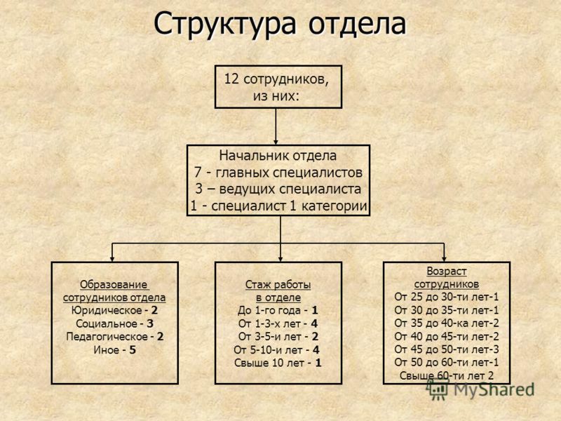 Какая должность выше. Категории специалистов. Специалист 1 категории и 2 категории. Специалист первой категории. Ведущий специалист 1 категории.