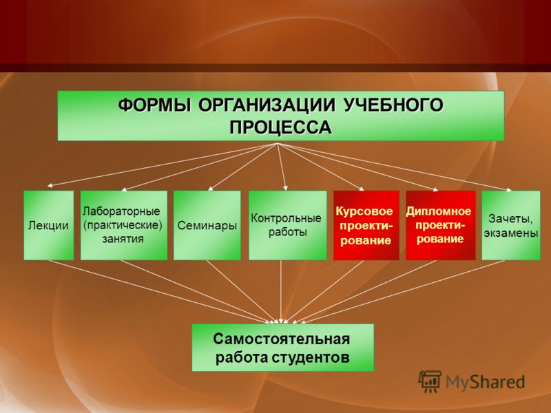 Организации процесса обучения в образовательных организациях. Формы организации учебного процесса. Формы организации образовательного процесса. Формы организации уч процесса. Формы организации самостоятельной работы студентов.