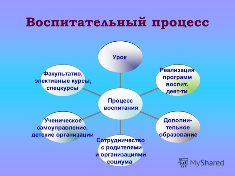 Факультатив электив. Воспитательный процесс. Воспитательный процесс в школе. Схема воспитательного процесса. Воспитательный процесс это процесс.