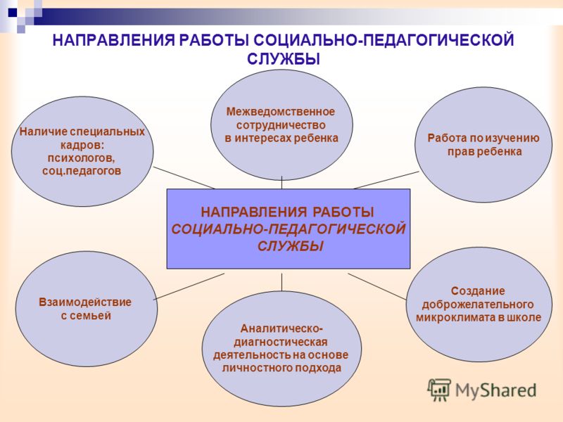 Проекты направленные на развитие молодежи