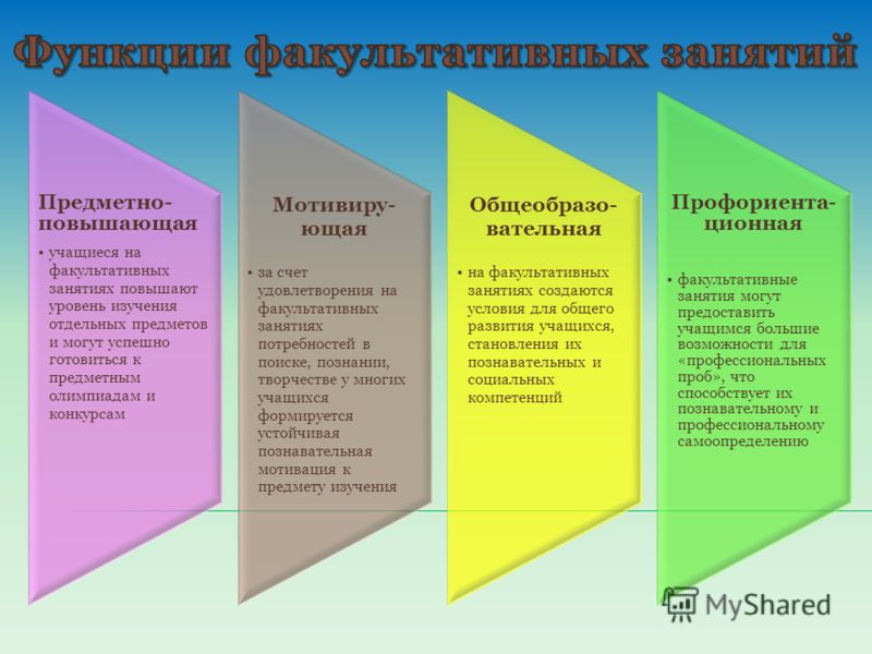 Предметные факультативы