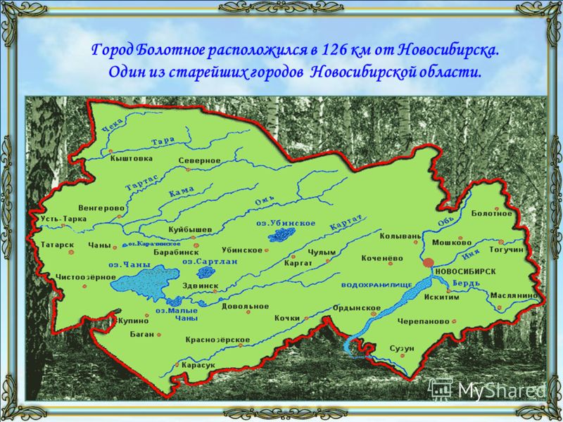 Карта болотное новосибирская область