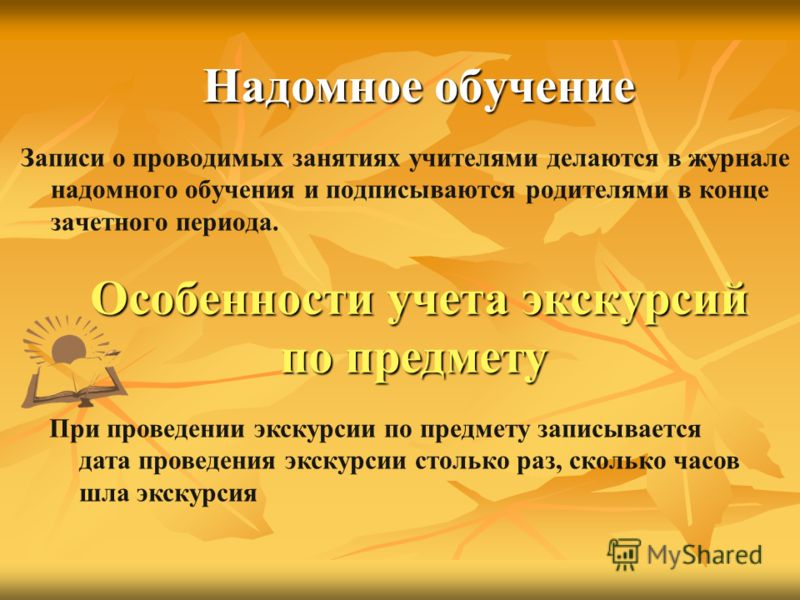 Надомное обучение. Особенности надомного обучения. Учитель надомного обучения. Журнал надомного обучения.